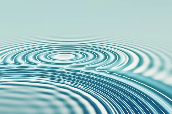 Zenbet Kasino Podpora